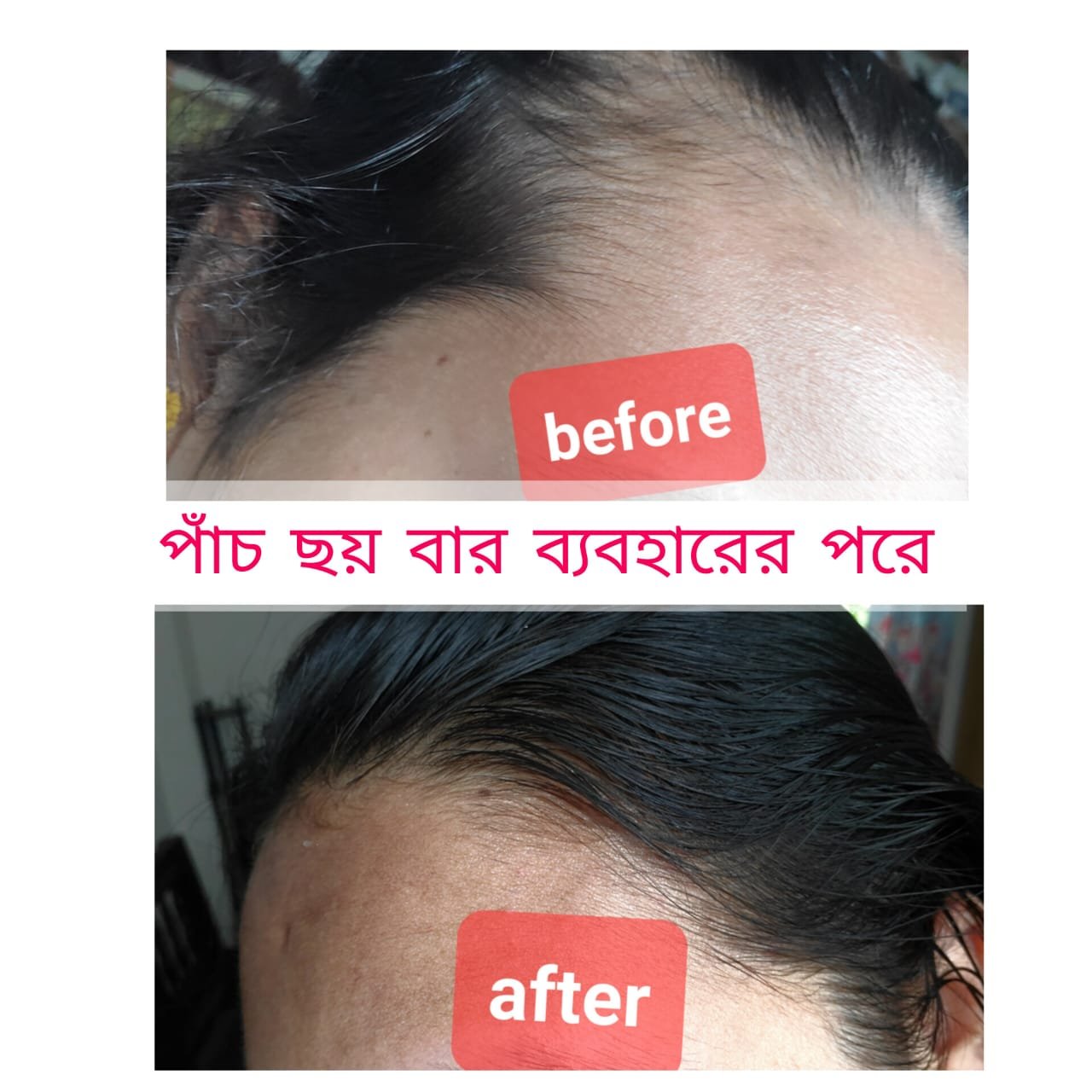 WhatsApp Image 2025-10-29 at 1.26.43 PM